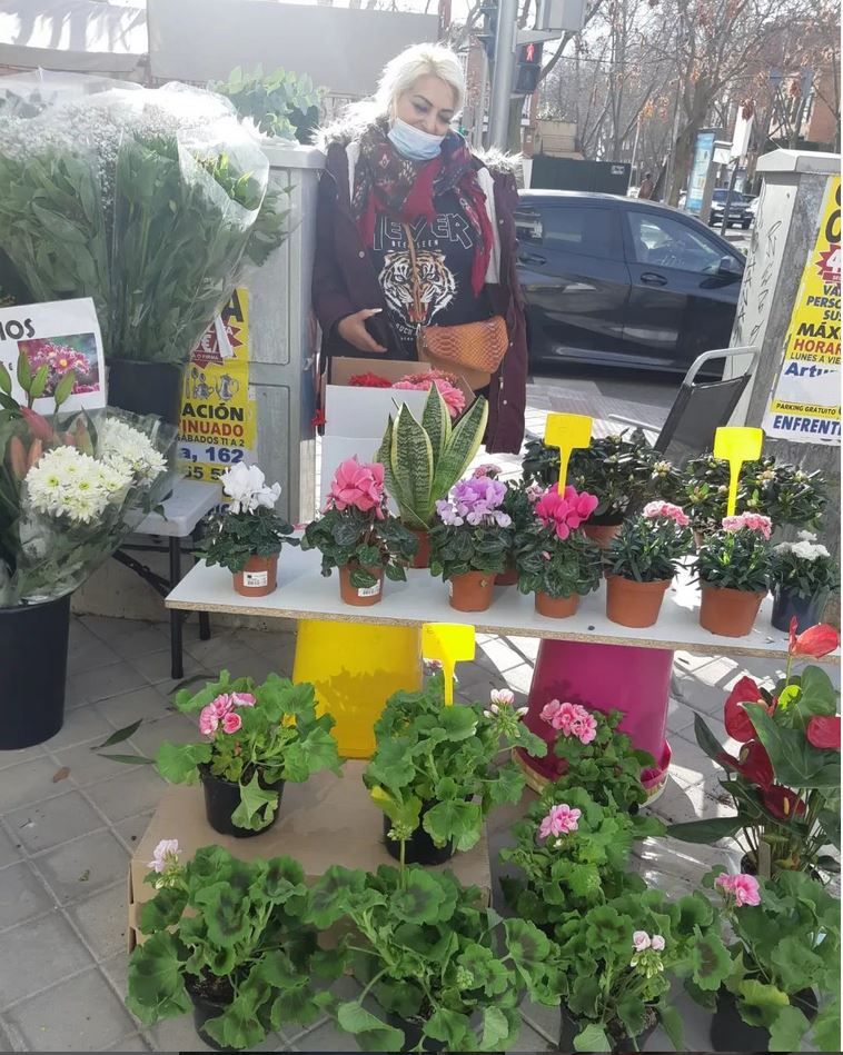 flores