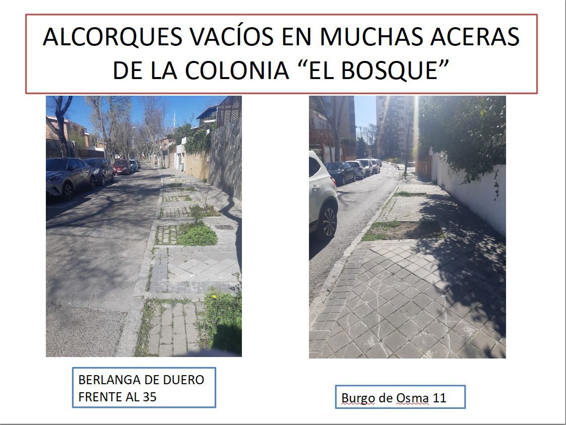 calzadas5