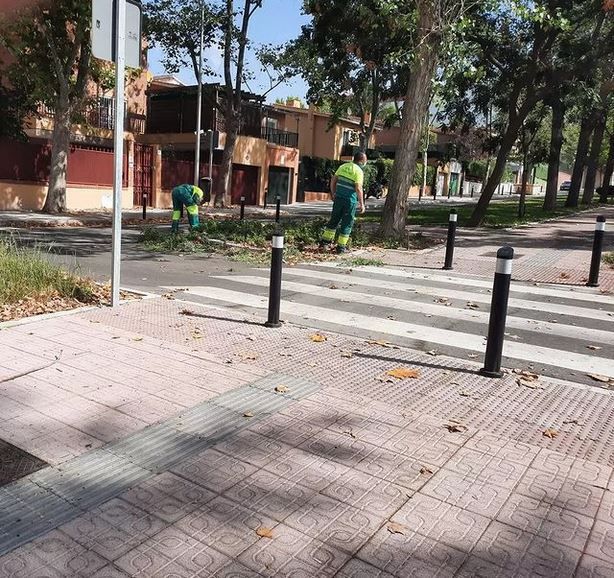 jardines