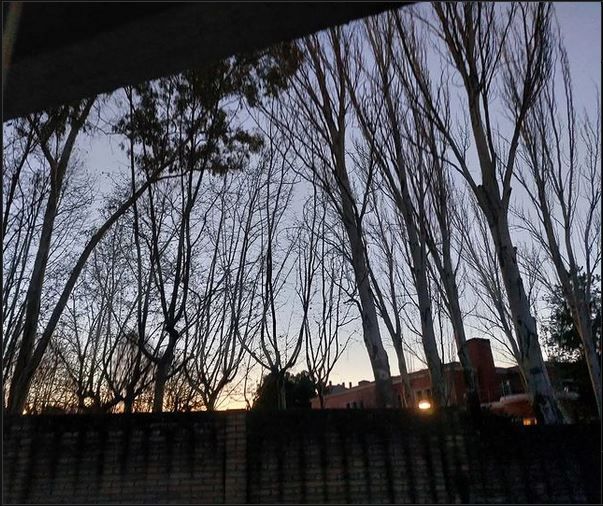 amanece
