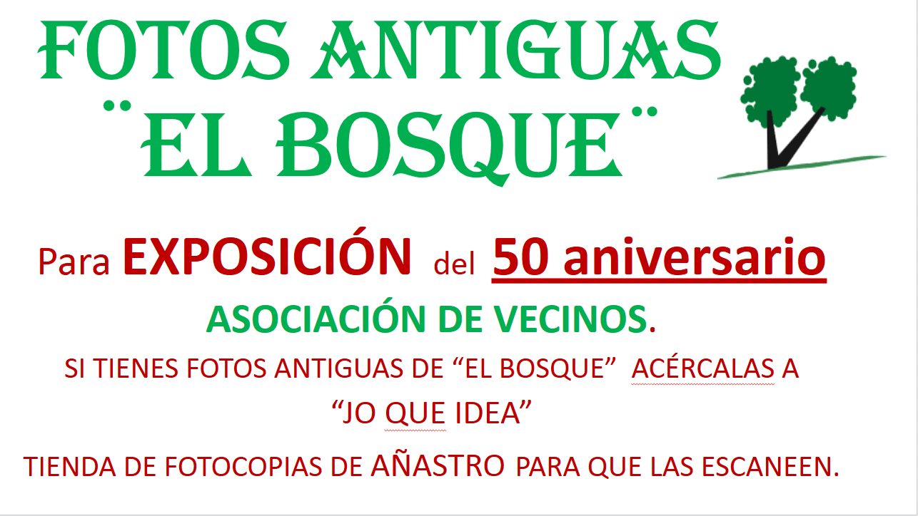 fotos ant